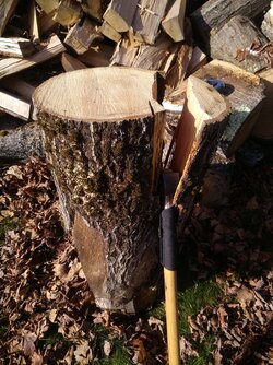 Need a splitter, way in over my head with monster oak logs