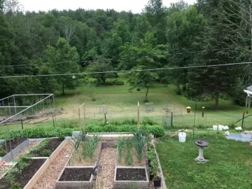 Does anyone have a food forest?