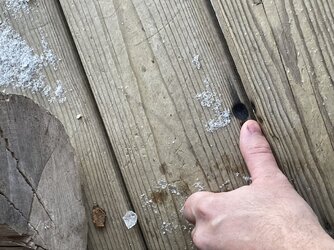 Just noticed burn marks on my wrap around deck…