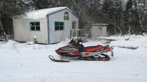 [Hearth.com] I found the snow!