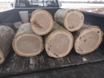 [Hearth.com] Wood ID