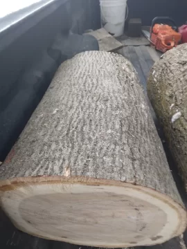 [Hearth.com] Wood ID