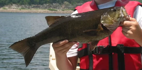 [Hearth.com] Big Bass-Large mouth