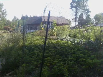 [Hearth.com] Anybody put up a deer fence?