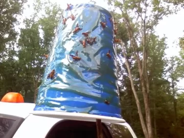 [Hearth.com] Deer Fly Traps