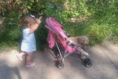 [Hearth.com] Step Grand daughter pushing her new Baby!