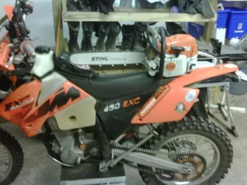 [Hearth.com] My New Orange girl...................