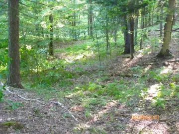 [Hearth.com] Cleared for a new trail