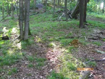 [Hearth.com] Cleared for a new trail