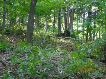 [Hearth.com] Cleared for a new trail