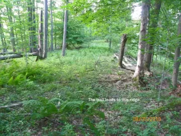 [Hearth.com] Cleared for a new trail