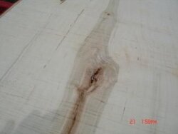 wood  id