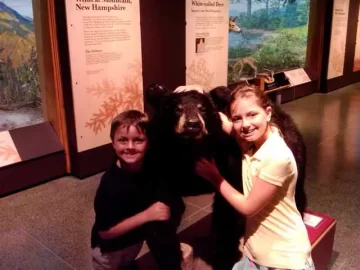 [Hearth.com] Black Bear spotted