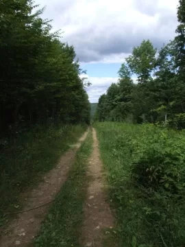 [Hearth.com] RE: ATV Trip to The County