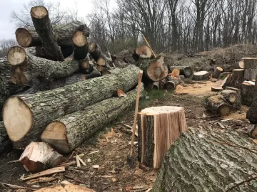 [Hearth.com] Btu loss in spalted wood?