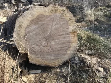 [Hearth.com] Btu loss in spalted wood?
