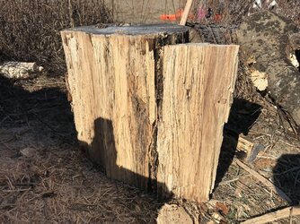 Btu loss in spalted wood?