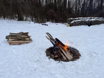 Dropping standing dead ash and cherry during the winter