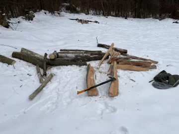 Dropping standing dead ash and cherry during the winter