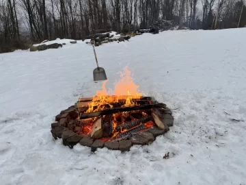 Dropping standing dead ash and cherry during the winter