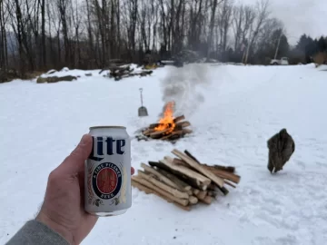 Dropping standing dead ash and cherry during the winter