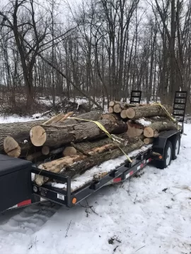 Truck vs trailer