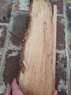 Wood identification help