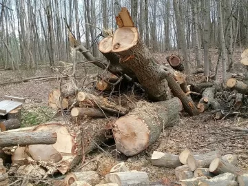 [Hearth.com] This is a good feeling.