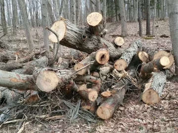 [Hearth.com] This is a good feeling.