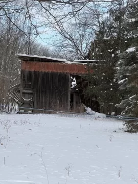 [Hearth.com] Old barn finally fell