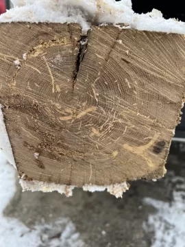 [Hearth.com] Old barn finally fell