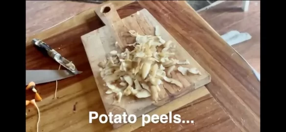 [Hearth.com] What kind of wood stove is this & do potato peels prevent creosote build up?