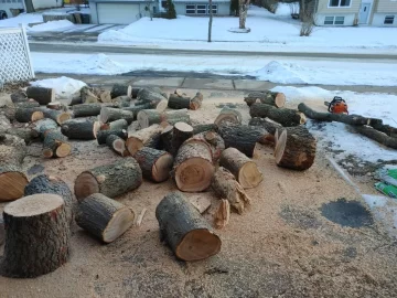 [Hearth.com] First log drop of 2022!!