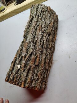 Wood ID help