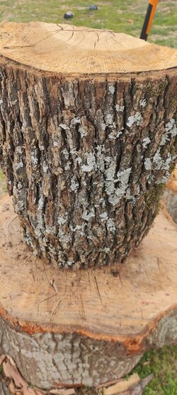 Red Oak or White Oak? (Wood ID)
