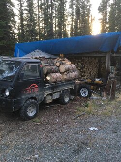 5hp Off-road redneck firewood hauler thoughts with background, would it really work FOR ME?