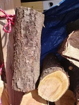 Hey folks, anyone know what this wood is?