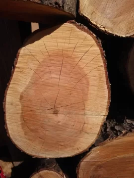 Hey folks, anyone know what this wood is?