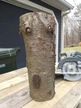 Hey folks, anyone know what this wood is?