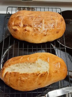 Baked some bread tonight (pics)