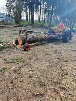Backyard logging