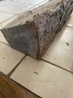 Help me identify this wood!