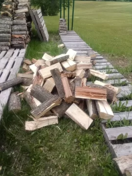 Wood ID... Have I never split sugar maple before...?!?