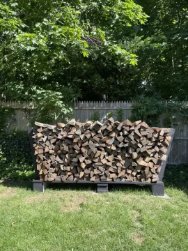 Think this wood will be ready for winter burning?