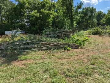 Cleaning up the old pond.