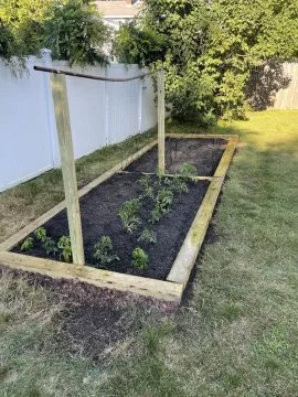 Garden 2x6 Raised bed rotted and fell over after 30 years