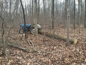 Too many trees getting hung up