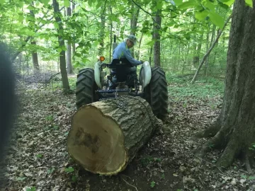 Too many trees getting hung up