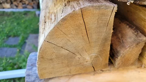 Wood ID on a split