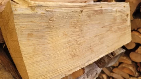 Wood ID on a split